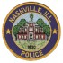 Nashville Police Department, Illinois